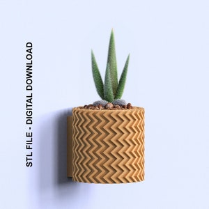 May include: A brown, chevron-patterned wall planter with a small green succulent plant inside. The planter has a small, rectangular mounting bracket on the back.