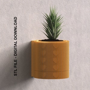 May include: A 3D printed planter with a ribbed design in a light orange color. The planter is holding a small green succulent plant.