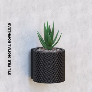 May include: A black 3D printed wall planter with a geometric pattern. A succulent plant is growing in the planter.