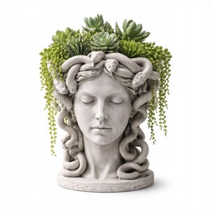 Medusa Planter STL Datei für 3D-Druck