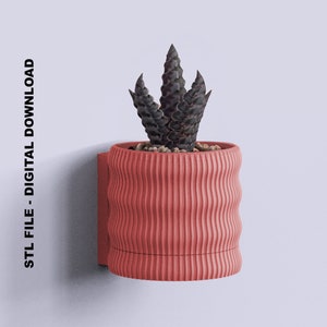Puede incluir: Un modelo 3D imprimible de una maceta de pared con un diseño ondulado y texturizado. La maceta es de color rosa coral y contiene una pequeña planta suculenta.