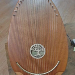 Arpa de huevo de palisandro de 22 cuerdas, instrumento musical para principiantes (incluye funda, llave y cuerdas).