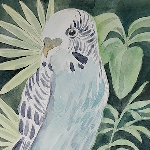 Parrot - original watercolor