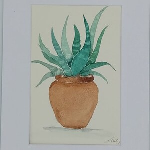 Acquarello originale di pianta grassa/ Acquarello botanico/Pittura di agave all'acquarello/ arte della pittura ad acquarello di Agave/