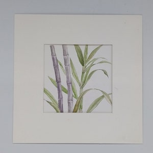 Acquerello originale di pianta di Bambu