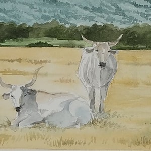 Acquerello originale di vacche maremmane - Paesaggio toscano