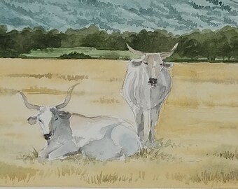 Acuarela original de vacas de Maremma - Paisaje toscano