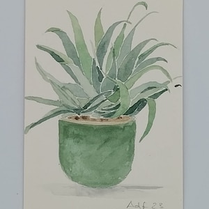 Acquarello originale di pianta grassa/ Acquarello botanico/Pittura di agave all'acquarello/ arte della pittura ad acquarello di Agave/