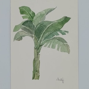 Acquarello originale di pianta di banano/ Acquarello botanico/Pittura di banano all'acquarello/ arte della pittura di pianta tropicale/