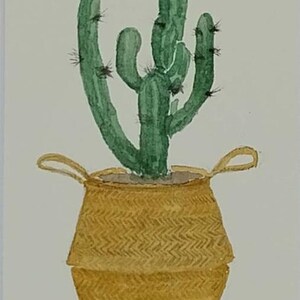 Pittura ad acquarello originale del cactus nel cesto/ watercolor/ acquarelle / decorazione parete/ dipinto di pianta grassa/ botanico