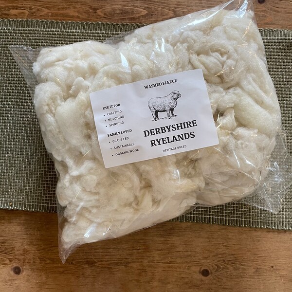 Derbyshire Ryeland  raw washed wool - 200g