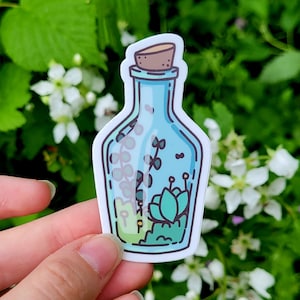 Sticker plantes en bouteille