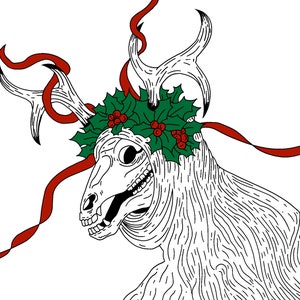 Mari lwyd 2nd