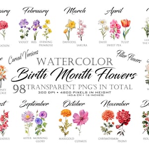 Pacote de clipart de flores do mês de nascimento em aquarela PNG transparente, criação de cartão DIY para aniversários, presente de dia das mães, clipart botânico, buquês