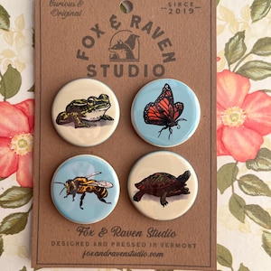 May include: A set of four round Fox & Raven Studio buttons featuring nature-themed illustrations. Designs include a frog, monarch butterfly, bee, and turtle. The buttons are mounted on a brown card with the studio's logo and website.