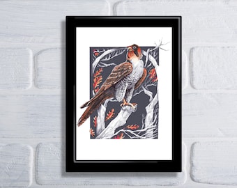 Fire Falcon, Falcon Illustration, Pen and Ink Art, Falcon Wall Art, Bird of Prey Art, Falcon Print, Bird Print, Falcon line drawing, Falcon