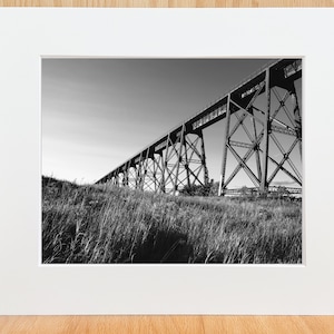 May include: Black and white photograph of a large metal trestle bridge over a grassy field.