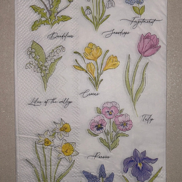 Botanical paper napkin