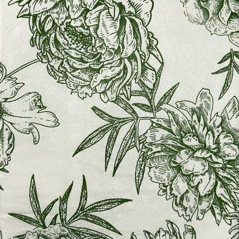 Cloth Napkins - Toile Green  Set of 2