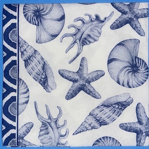 Seashells in blue and white paper napkins