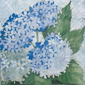 Blue hydrangea blossoms paper napkins