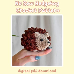 Crochet No Sew Hedgehog Plushie Pattern, Beginner-Friendly Amigurumi, CrochetCalls Critters