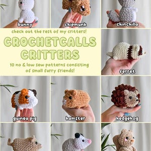 May include: Crochet patterns for 10 small animal plushies, including a bunny, chipmunk, chinchilla, ferret, guinea pig, hamster, hedgehog, mouse, opossum, and squirrel. The plushies are made with soft, fuzzy yarn and have adorable faces.