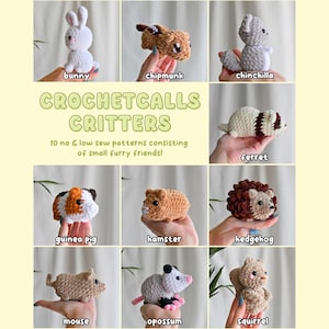 May include: A collection of 10 crochet animal patterns, including a bunny, chipmunk, chinchilla, ferret, guinea pig, hamster, hedgehog, mouse, opossum, and squirrel. The patterns are no-sew and low-sew, making them easy to create. CROCHETCALLS CRITTERS is written on the image.