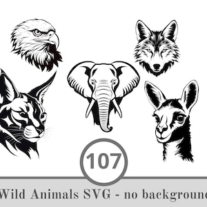 Op de afbeelding: Zwart-witte illustraties van vijf wilde dieren: een adelaar, een wolf, een olifant, een kat en een hert. De illustraties zijn tegen een witte achtergrond geplaatst.