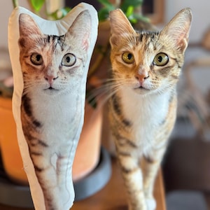 Oreiller personnalisé pour animal de compagnie Oreiller personnalisé pour chat en forme de grand chien Peluche personnalisée pour chat Oreiller personnalisé à partir d'une photo pour animal de compagnie Oreiller 3D pour chien et chat