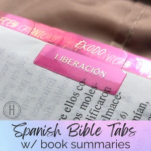 Spanish Bible Tabs: Gold Foil, Book Summaries, Peel & Stick