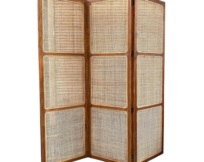 Rattan cane Room partition Screen, Folding Divider, Mid-century Separator