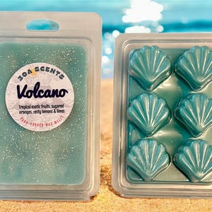 Shell Clamshell 3.5oz | Volcano
