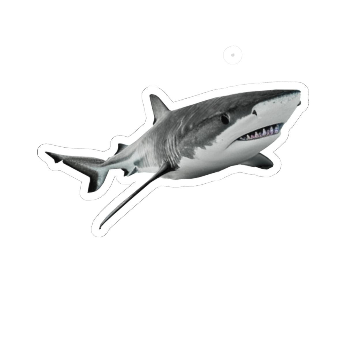 Great White Shark Sticker with Transparent or White Edges. Add this terrifying Great White Shark Sticker to your bottle, computer or books!