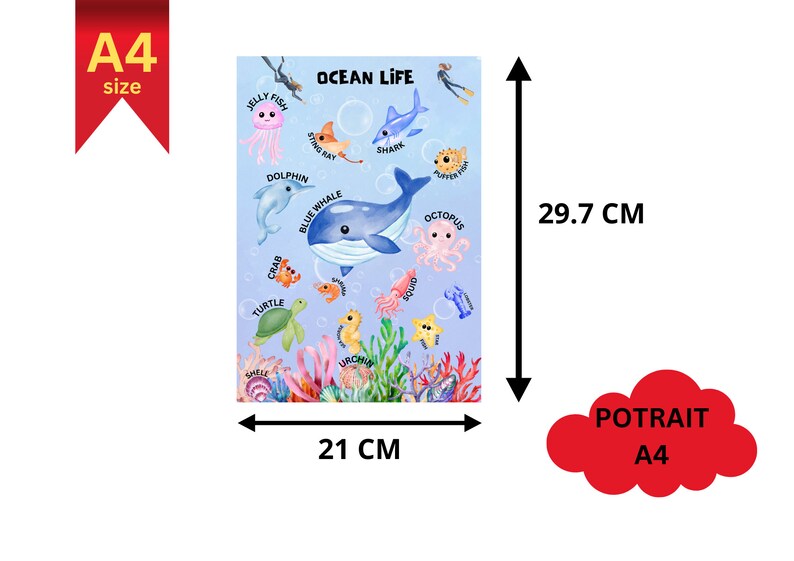 2 Ocean Animals Printable Montessori Poster for Preschool Kids - Etsy