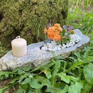 Steen gesneden plantenbak en kaarsenhouder. Geweldig voor je succulente of bonsaiboom - Zen Garden - Orange Fortune Succulent - One of a Kind