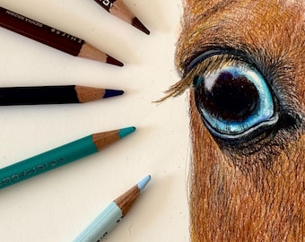 Custom Horse Portrait, keepsake horse gift, colored Pencil horse drawing custom horse art horse drawing commission, hand drawn