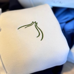 Bulbasaur Inspired Embroidered Sweater/ Hoodie - Pokemon Clothing