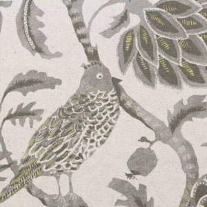 May include: A gray and white bird with a yellow beak perched on a branch with gray and white leaves. The background is a light gray.