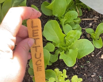 Estaca de jardín amarilla de madera, etiqueta grande para plantas, etiqueta de jardín apta para alimentos, estaca de jardín con letra grande, estaca para verduras de verano, etiquetas para jardín de hierbas