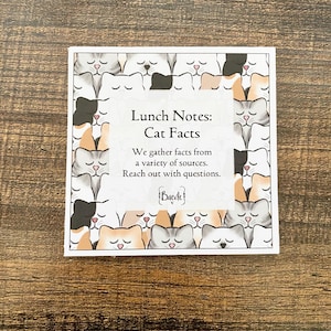 Jeu de 11 cartes d'informations sur la boîte à lunch pour enfants avec un chaton