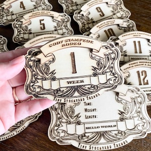 Juego de hebillas de cinturón de vaquero Milestone, accesorio para fotos de recién nacidos, juego de discos mensuales, regalo para guardería con temática del oeste, disco de vaquera Milestone, idea de regalo para bebé rodeo