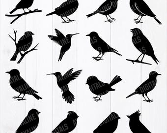 Bird SVG Bundle: Sparrow, Silhouette, Clip Art (Digital Download)