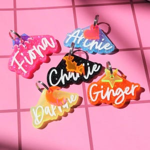 Custom Pet ID Tags,Dog Name Tag,Cat ID Tag,Personalized Pet Tag,Script Font Tag,Glitter Pet ID,Acrylic Tag,Pet Gift,Animal Tag,Pet Keychain
