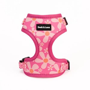 Adjustable Dog Harness - Groovy Pink Flower