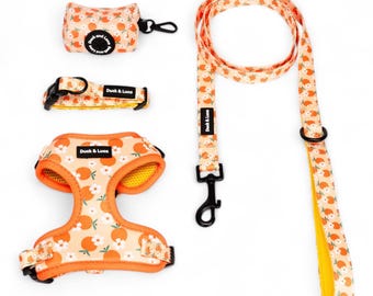 May include: A set of orange and white dog accessories with a floral pattern. The set includes a leash, collar, harness, and poop bag holder. The accessories are all made of durable materials and feature the text "Duck & Luca".
