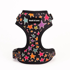 Adjustable Dog Harness - Funky Stars