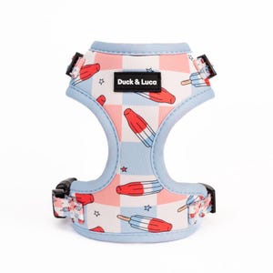 Adjustable Dog Harness - Fourth of July Popsicle