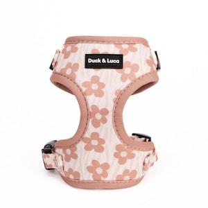 Adjustable Dog Harness - Brown Daisy