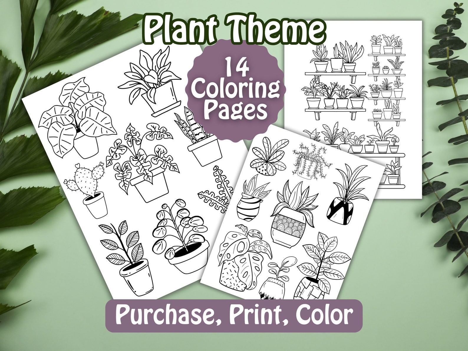 Plant Coloring Pages, Plant PNG, House Plant Coloring Pages, Plant